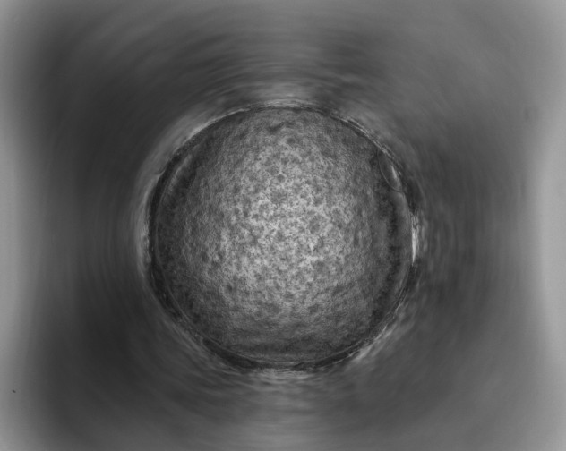 X0000094190339200711091205