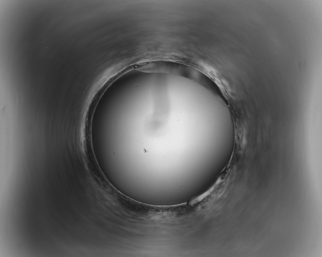 X0000094190340200711091205