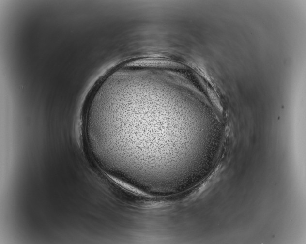 X0000094190342200711091205