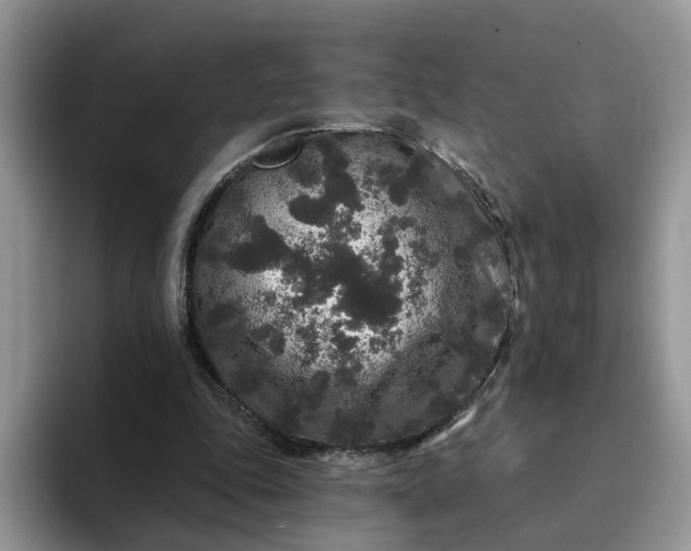 X0000094190343200711091205