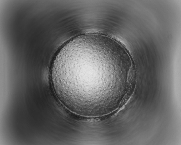 X0000094190345200711091205