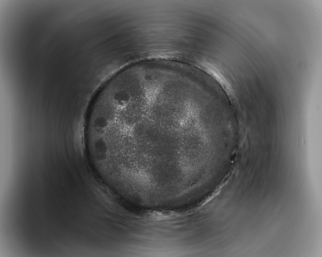 X0000094190346200711091205