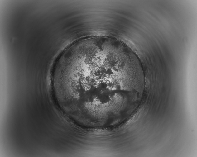 X0000094190347200711091205