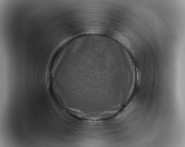 X0000094190348200711091205