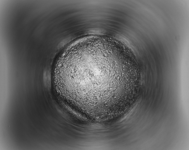 X0000094190349200711091205