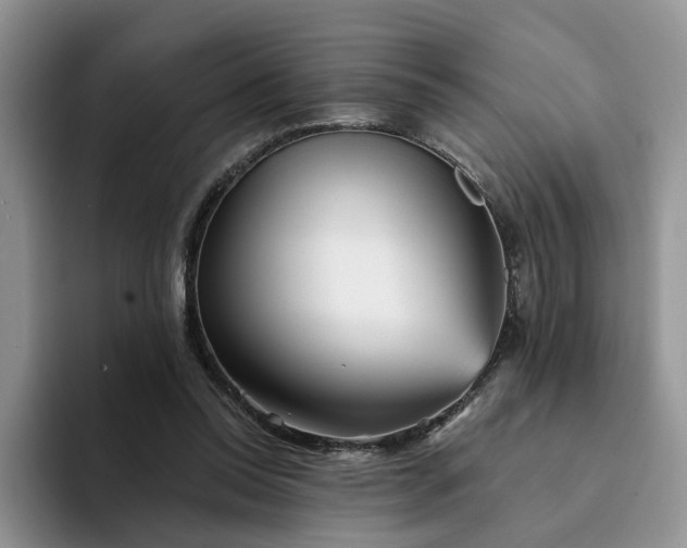 X0000094190350200711091205