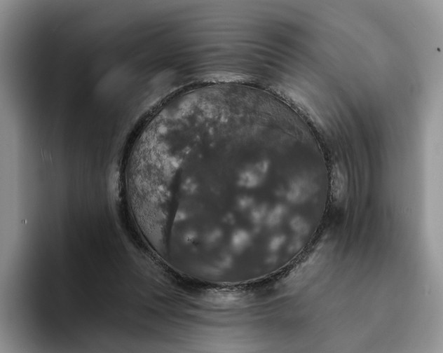 X0000094190351200711091205