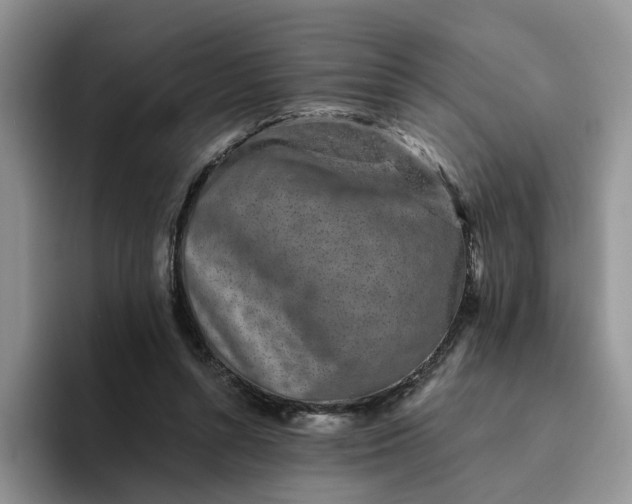 X0000094190352200711091205