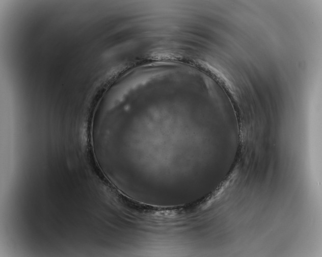 X0000094190353200711091205