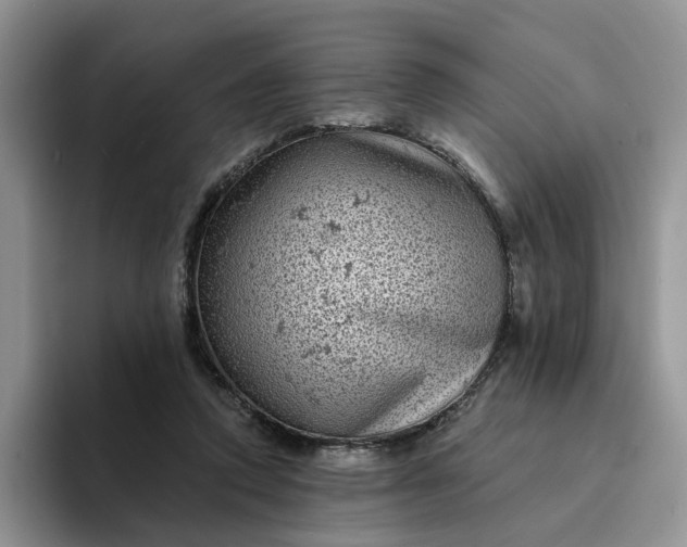 X0000094190354200711091205