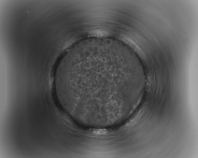 X0000094190355200711091205