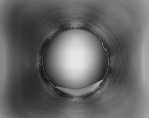 X0000094190356200711091205