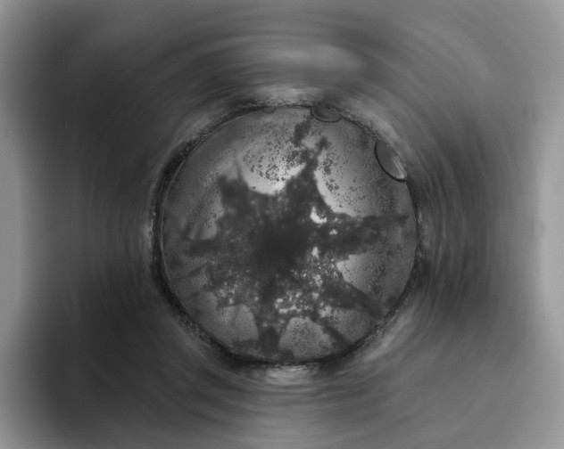 X0000094190357200711091205