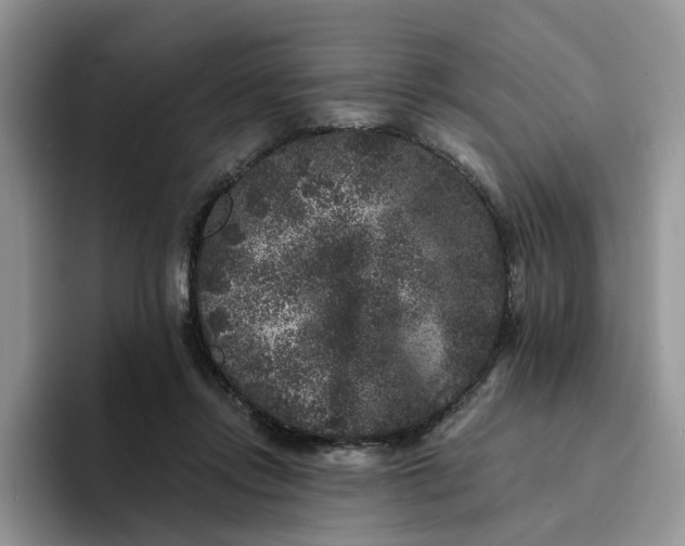 X0000094190358200711091205