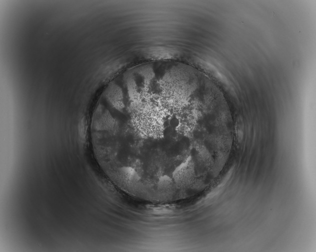 X0000094190359200711091205