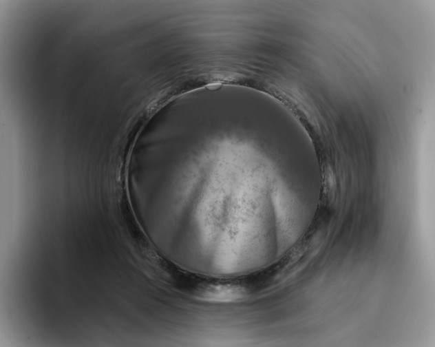 X0000094190360200711091205