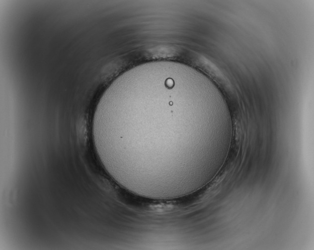 X0000094190362200711091205