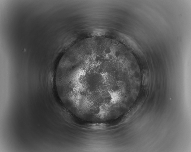 X0000094190363200711091205