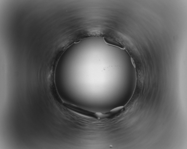 X0000094190364200711091205