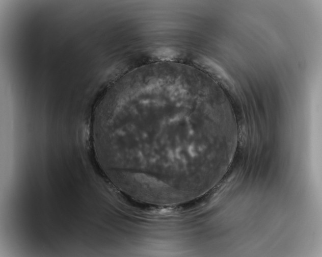 X0000094190365200711091205