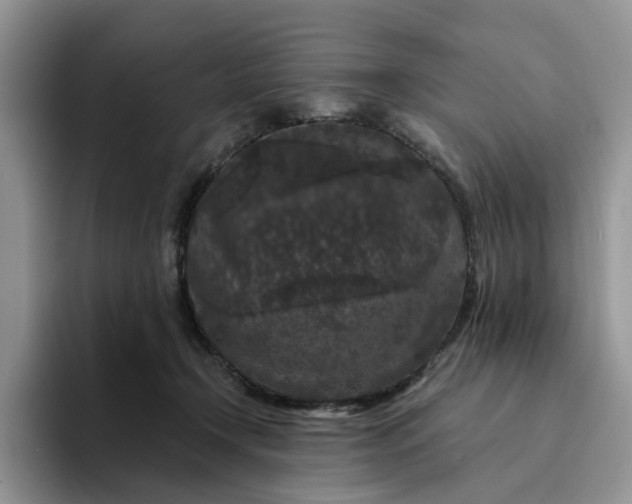 X0000094190366200711091205