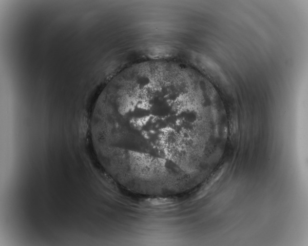 X0000094190367200711091205