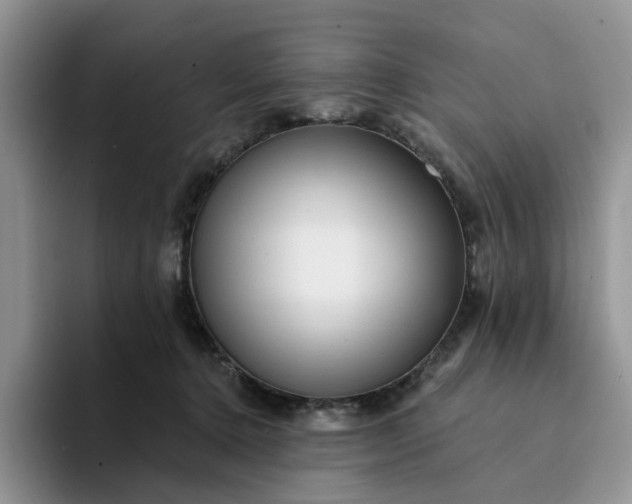 X0000094190368200711091205