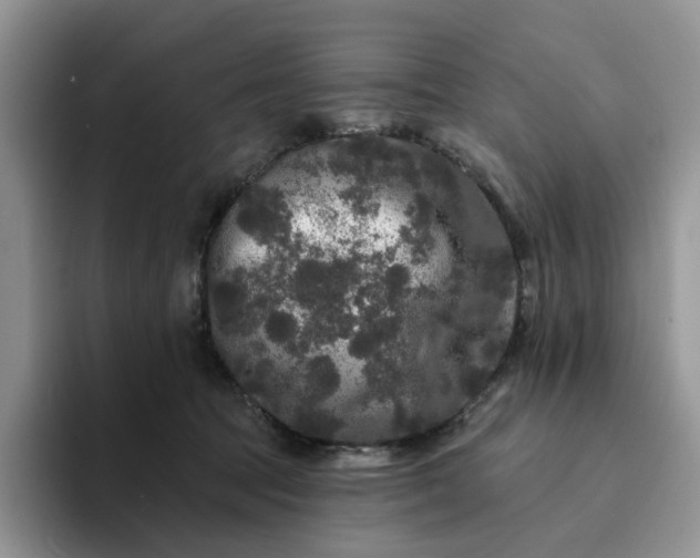 X0000094190369200711091205