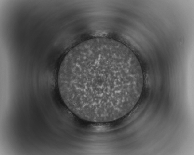 X0000094190370200711091205