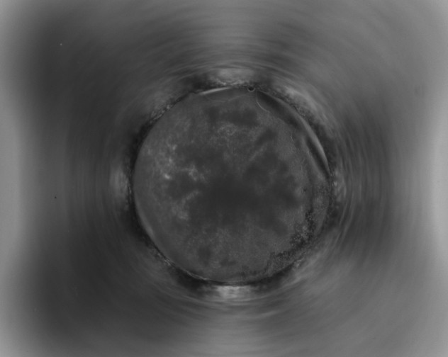 X0000094190371200711091205