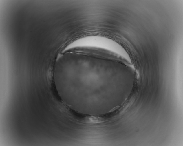 X0000094190372200711091205