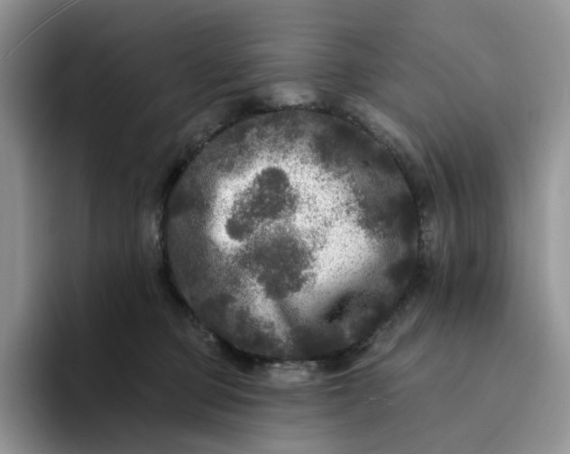 X0000094190373200711091205