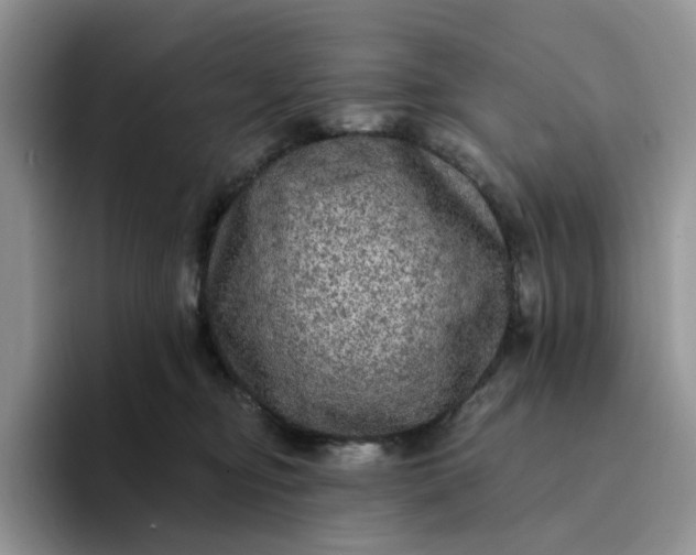 X0000094190374200711091205