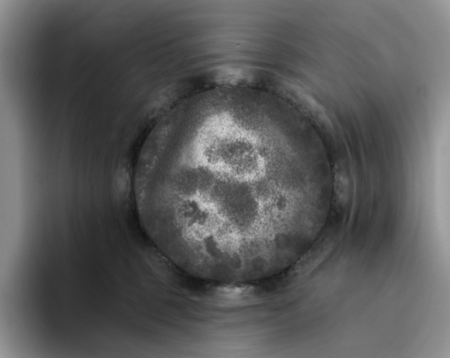 X0000094190375200711091205