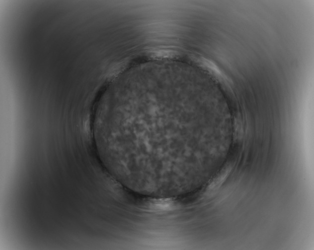 X0000094190377200711091205