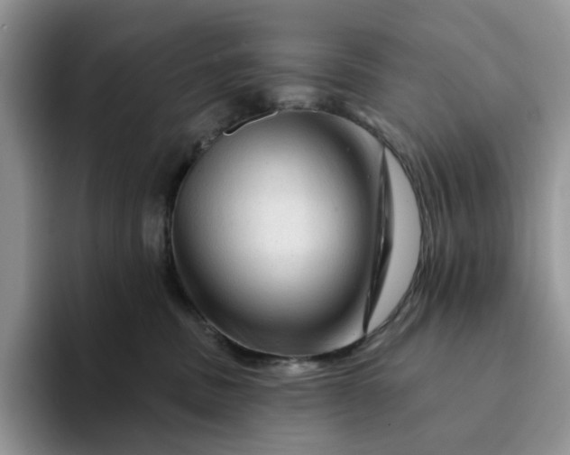 X0000094190379200711091205