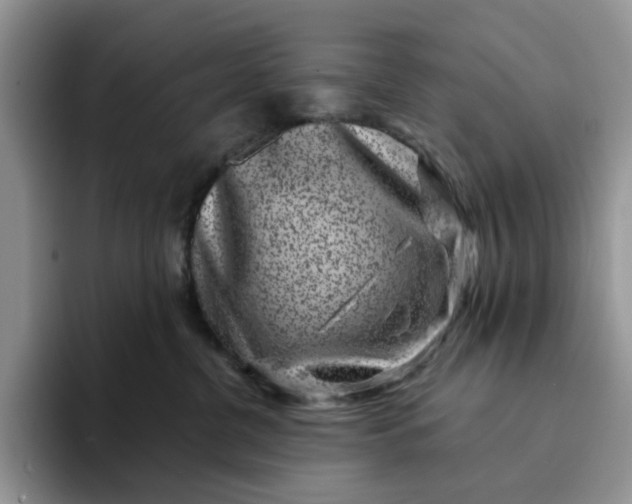 X0000094190380200711091205