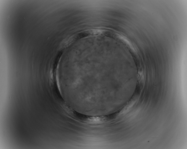 X0000094190381200711091205