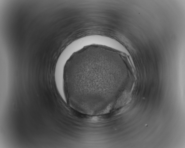 X0000094190382200711091205