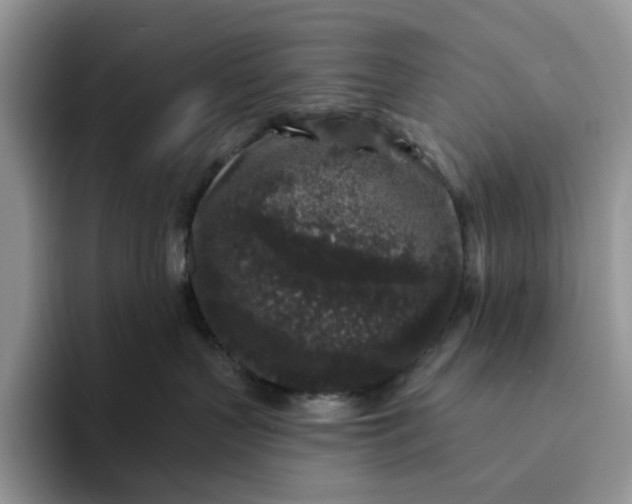 X0000094190383200711091205