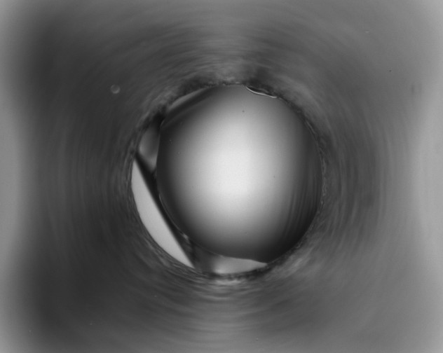 X0000094190384200711091205