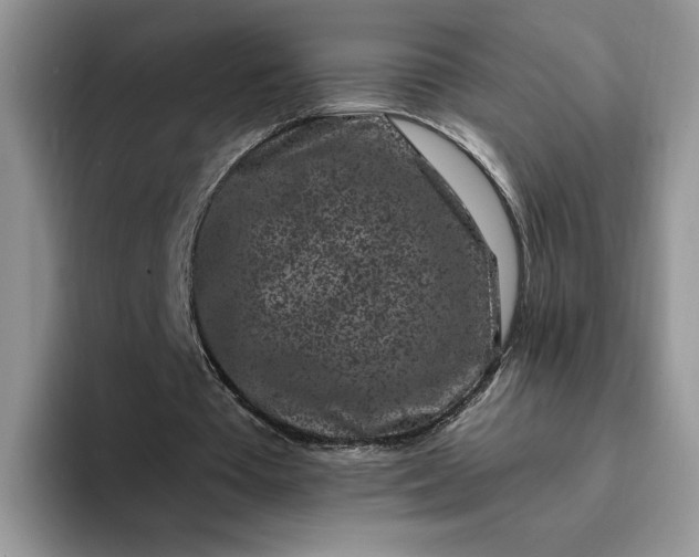 X0000094190385200711091205