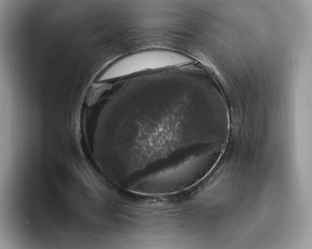 X0000094190386200711091205