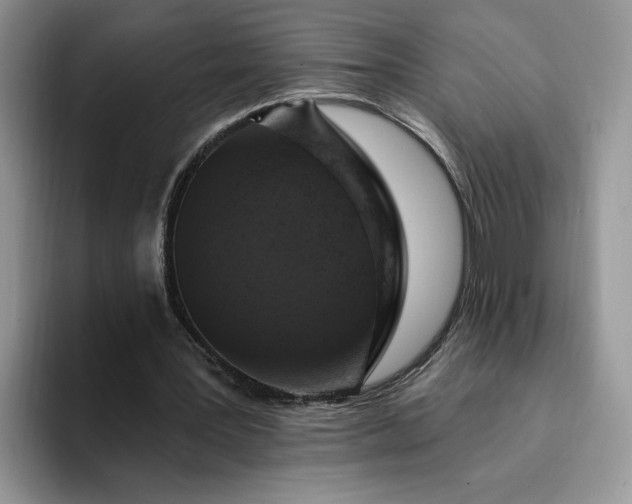 X0000094190387200711091205