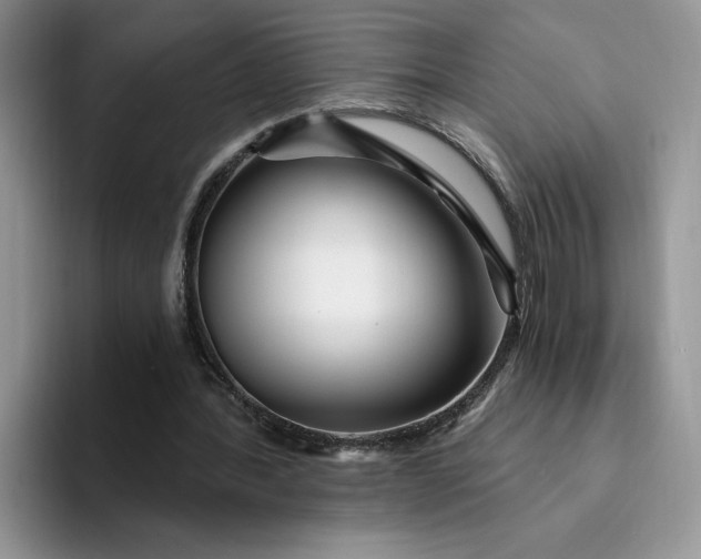 X0000094190388200711091205