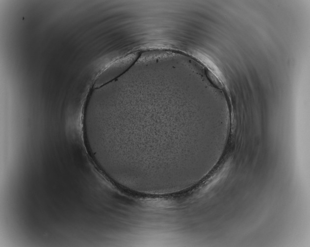 X0000094190389200711091205