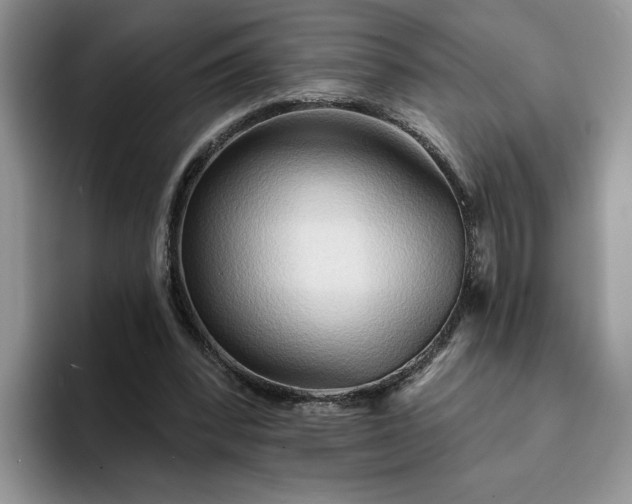 X0000094190392200711091205