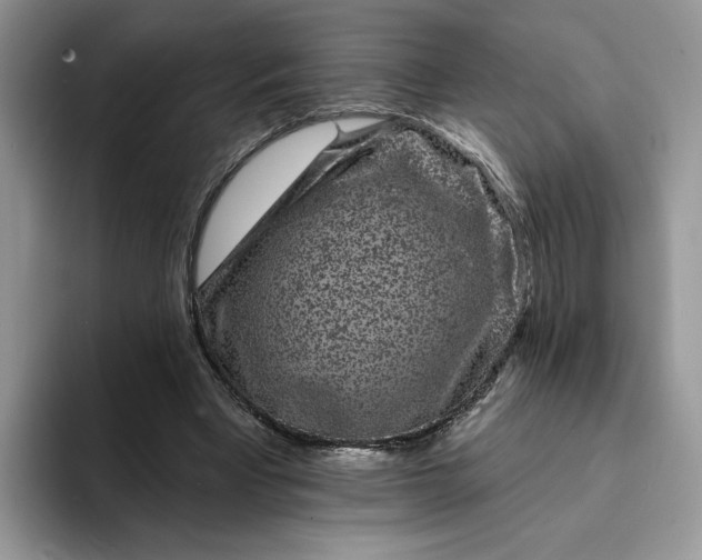 X0000094190393200711091205