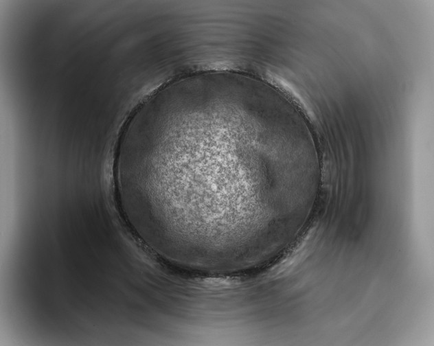 X0000094190394200711091205