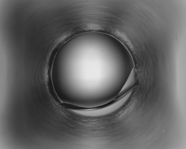 X0000094190395200711091205